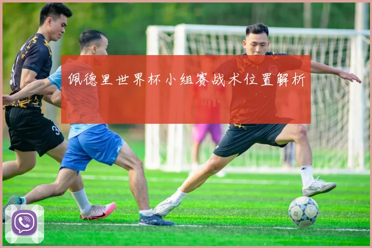 佩德里世界杯小组赛战术位置解析