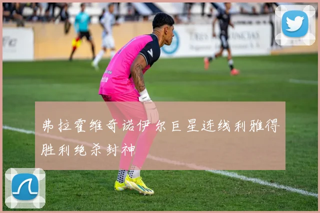弗拉霍维奇诺伊尔巨星连线利雅得胜利绝杀封神