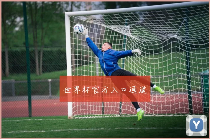 世界杯官方入口通道