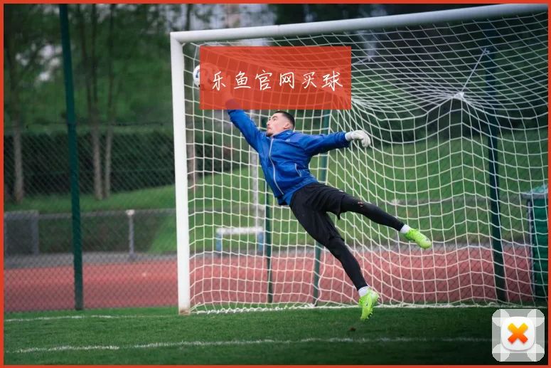 乐鱼官网买球
