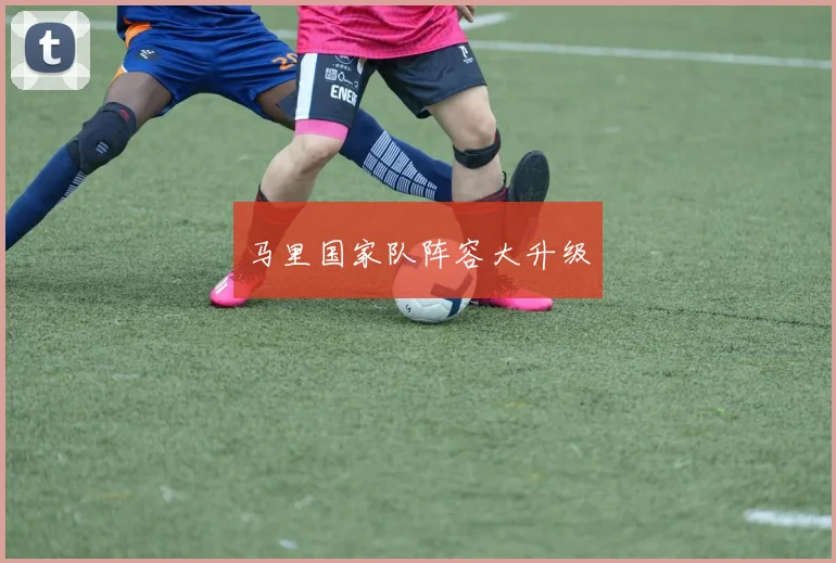 马里国家队阵容大升级