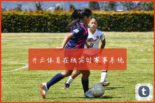 开云体育在线实时赛事系统