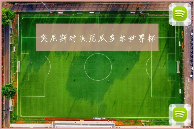 突尼斯对决厄瓜多尔世界杯