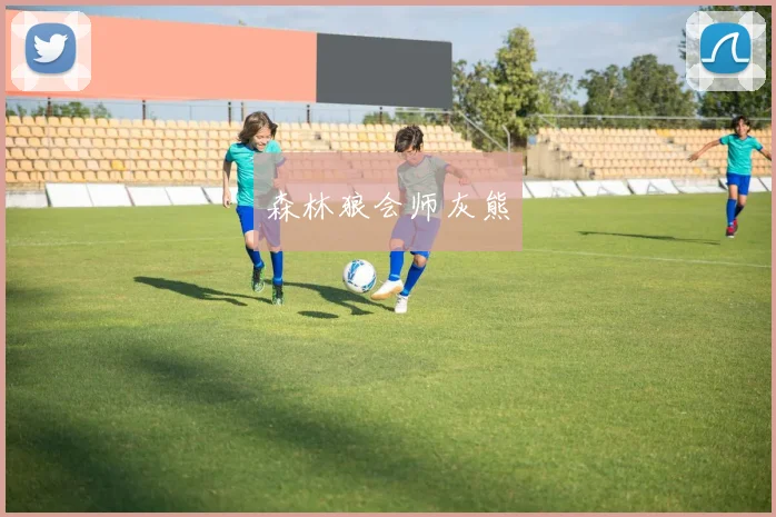 森林狼会师灰熊