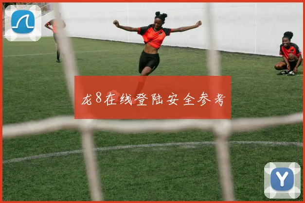 龙8在线登陆安全参考