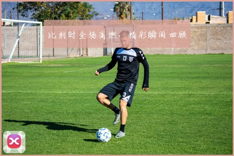 比利时全场高燃，精彩瞬间回顾