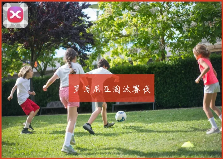 罗马尼亚淘汰赛夜