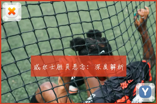 威尔士胜负悬念：深度解析