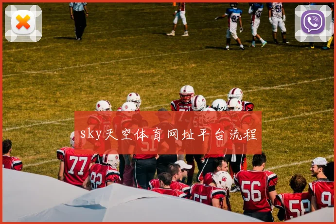 sky天空体育网址平台流程