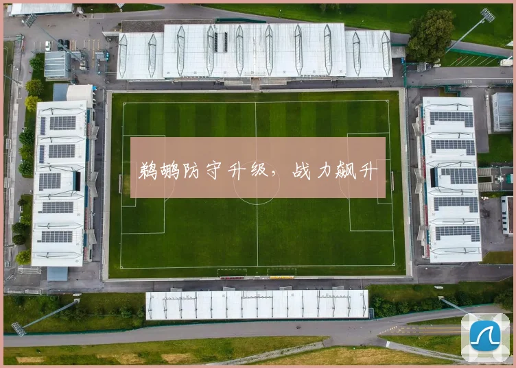 鹈鹕防守升级，战力飙升