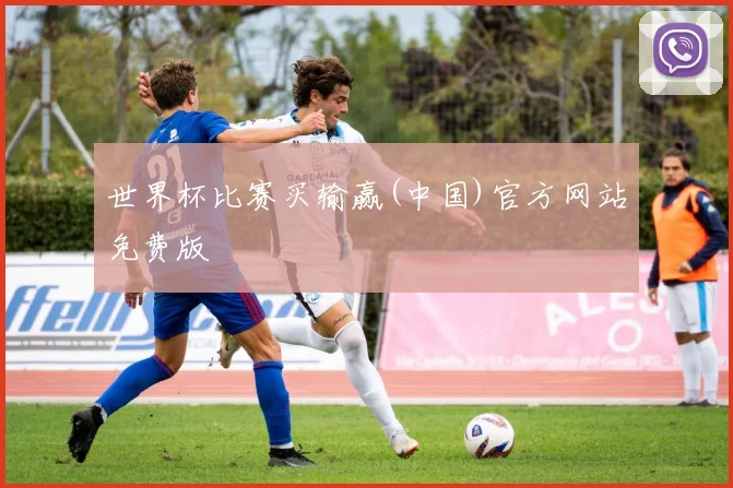 世界杯比赛买输赢(中国)官方网站免费版