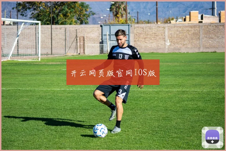开云网页版官网IOS版