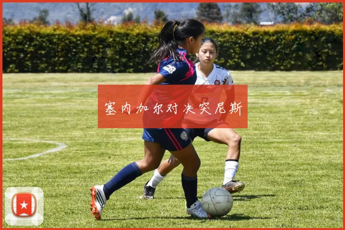 塞内加尔对决突尼斯