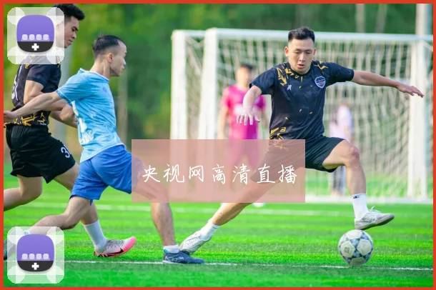 央视网高清直播