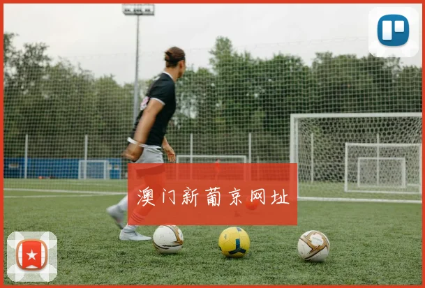 澳门新葡京网址