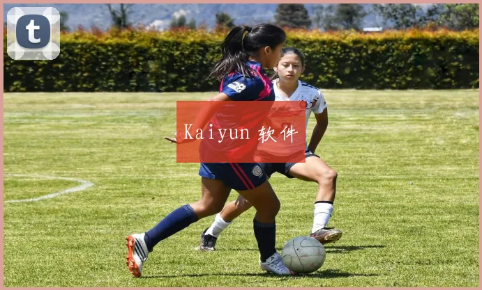 Kaiyun 软件