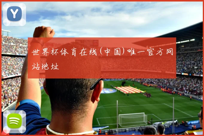 世界杯体育在线(中国)唯一官方网站地址