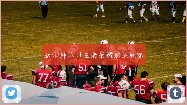 这①种!kpl王者荣耀职业联赛