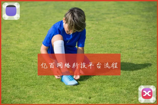 亿百网络科技平台流程