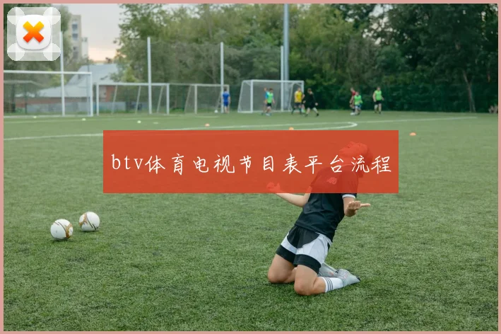 btv体育电视节目表平台流程