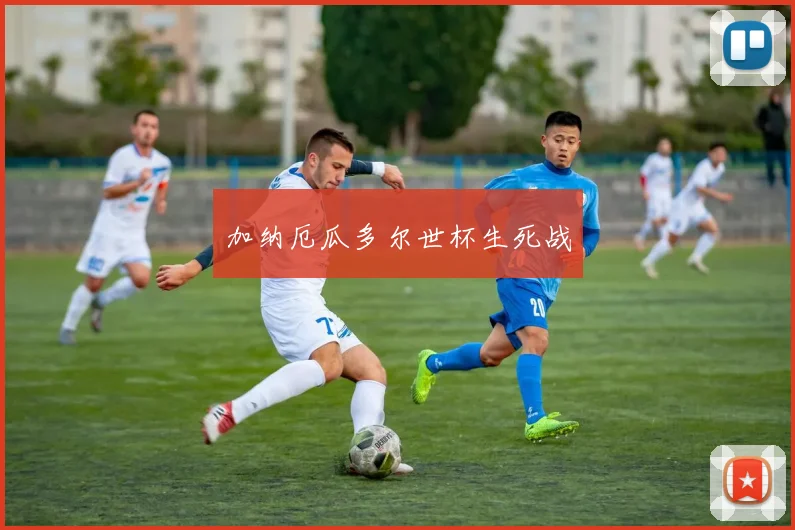 加纳厄瓜多尔世杯生死战