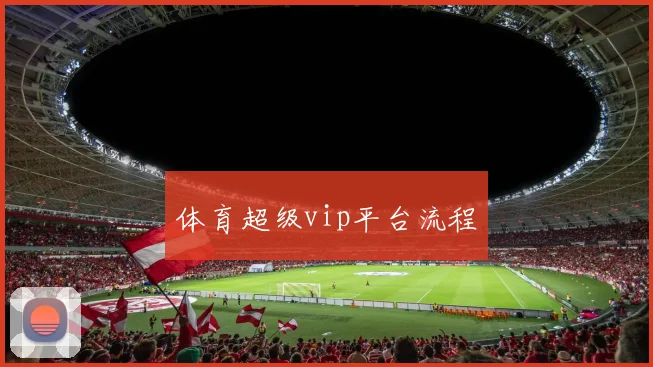 体育超级vip平台流程