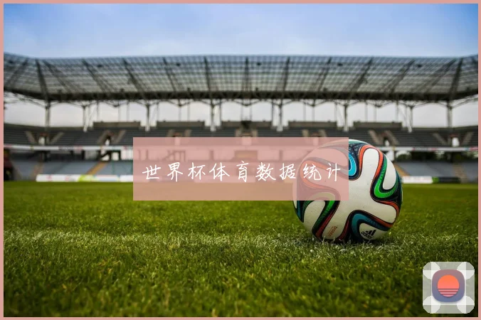 世界杯体育数据统计
