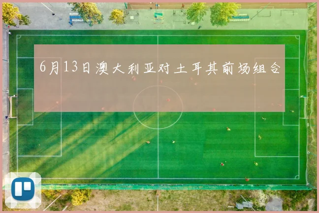 6月13日澳大利亚对土耳其前场组合